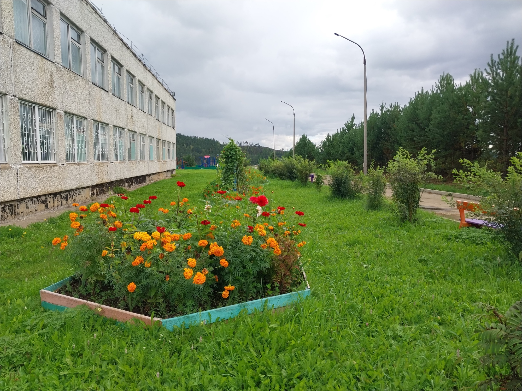 Изображения АГРО.