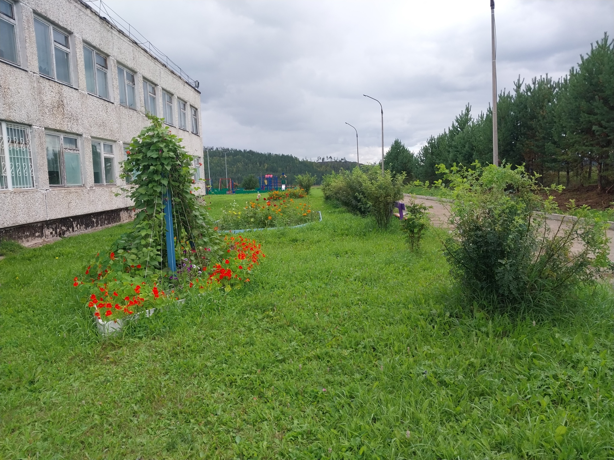 Изображения АГРО.